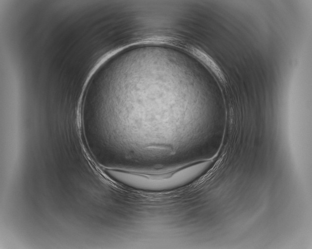 X0000113341436200909221114