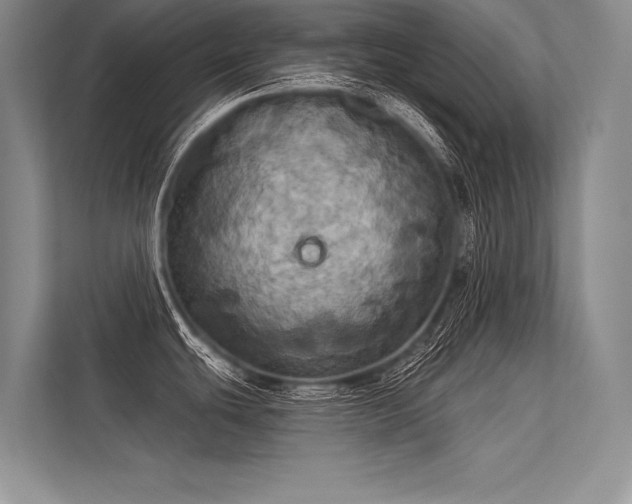 X0000113341439200909221114