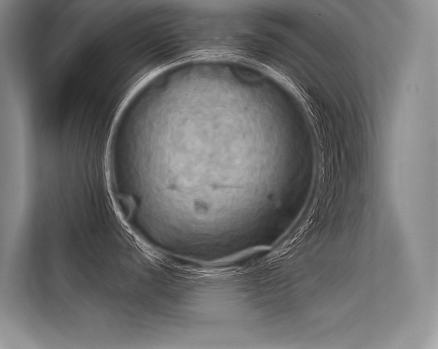 X0000113341440200909221114