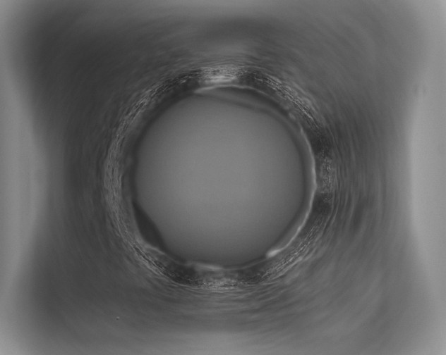 X0000113341441200909221114