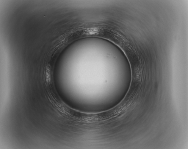 X0000113341442200909221114