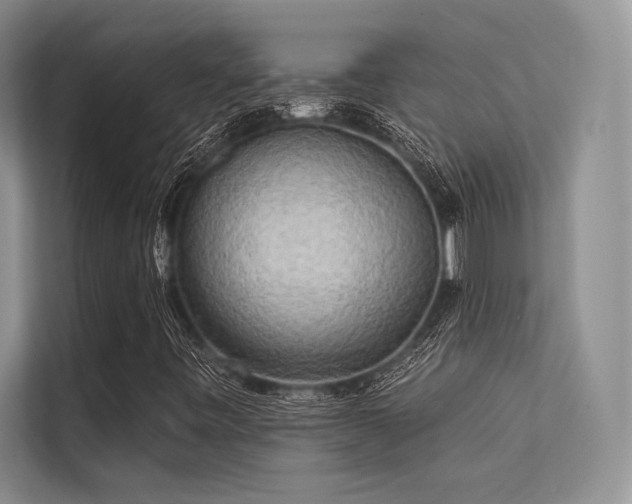 X0000113341443200909221114