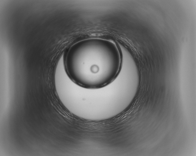 X0000113341444200909221114