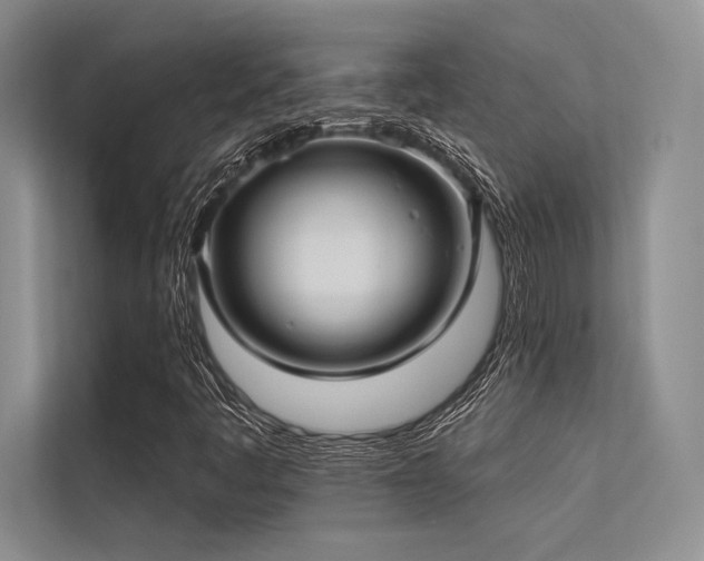 X0000113341445200909221114