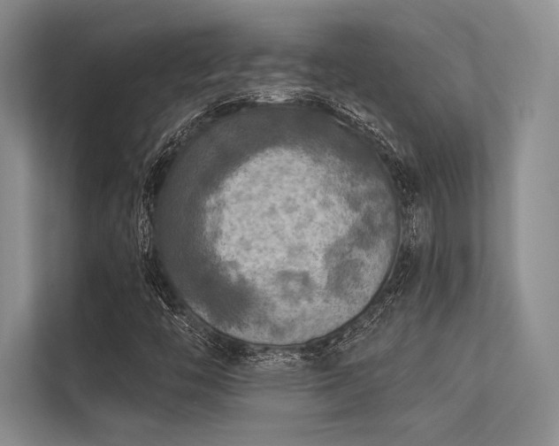 X0000113341446200909221114