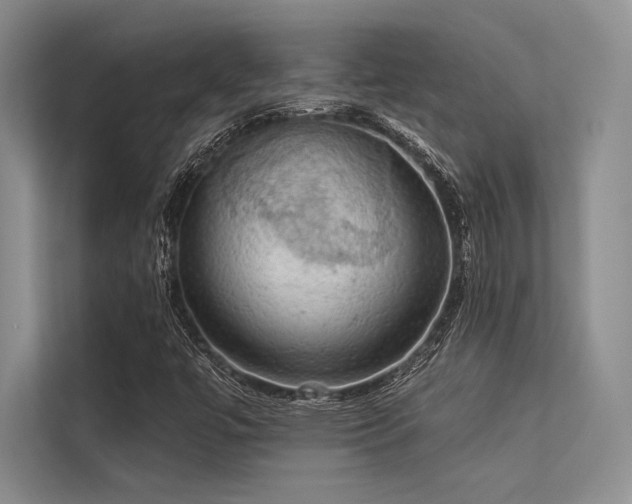 X0000113341447200909221114