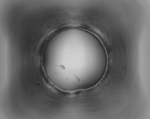 X0000113341448200909221114