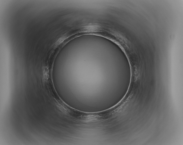 X0000113341449200909221114