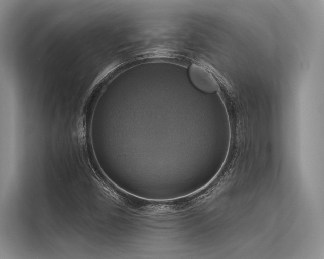 X0000113341450200909221114