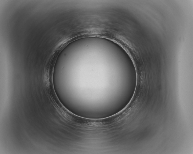 X0000113341451200909221114