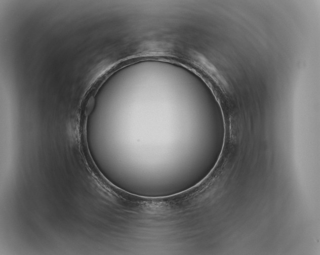 X0000113341452200909221114