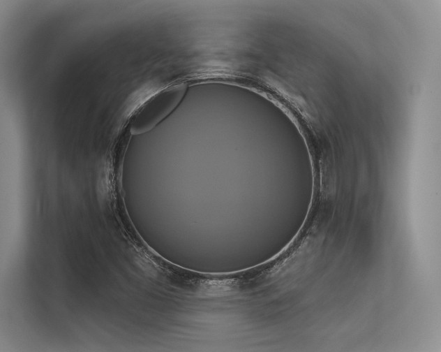 X0000113341453200909221114