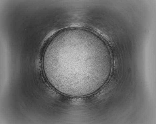 X0000113341454200909221114