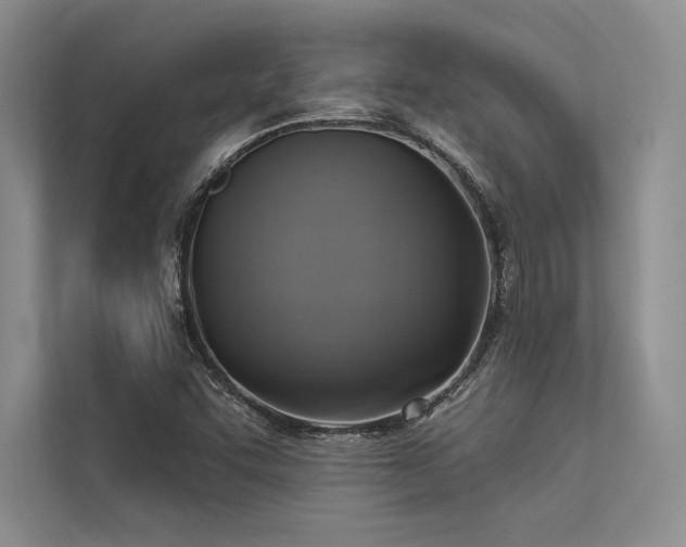 X0000113341455200909221114