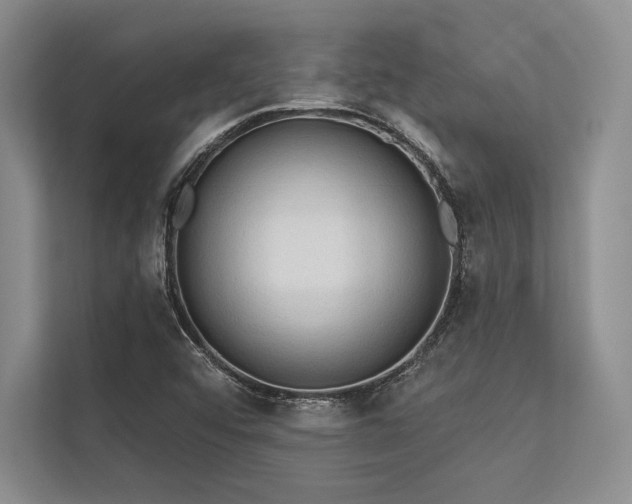 X0000113341456200909221114