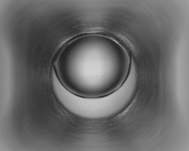 X0000113341457200909221114