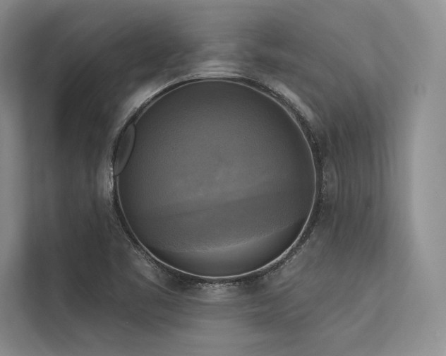 X0000113341461200909221113