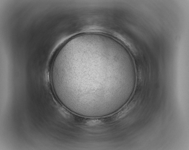 X0000113341462200909221113