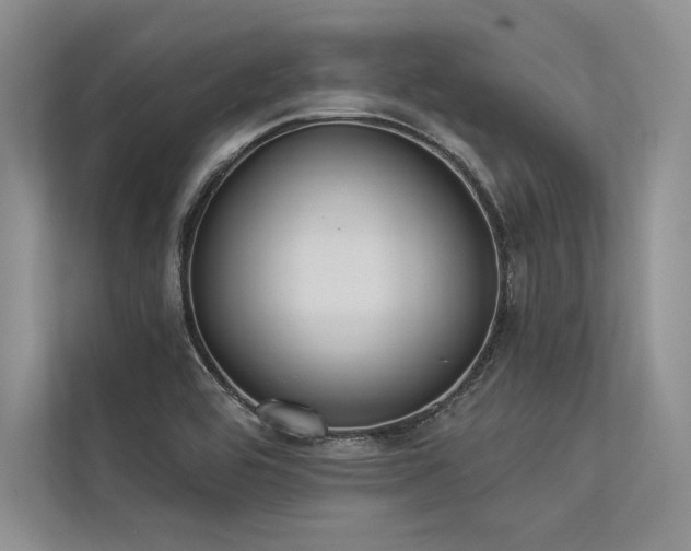 X0000113341464200909221113