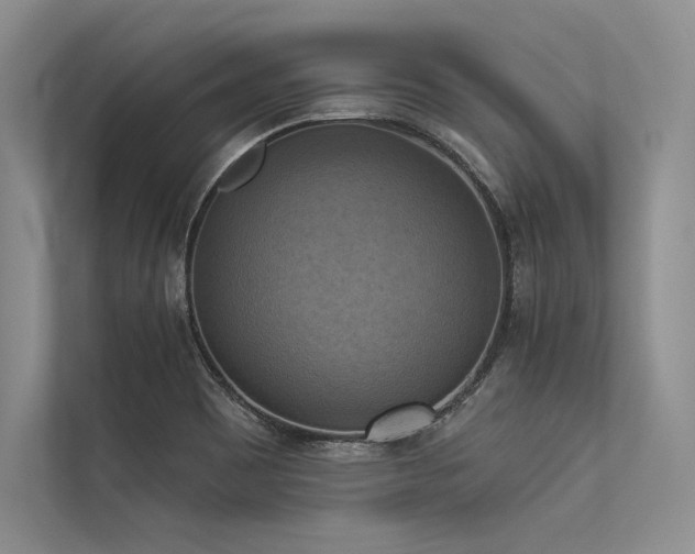 X0000113341465200909221113