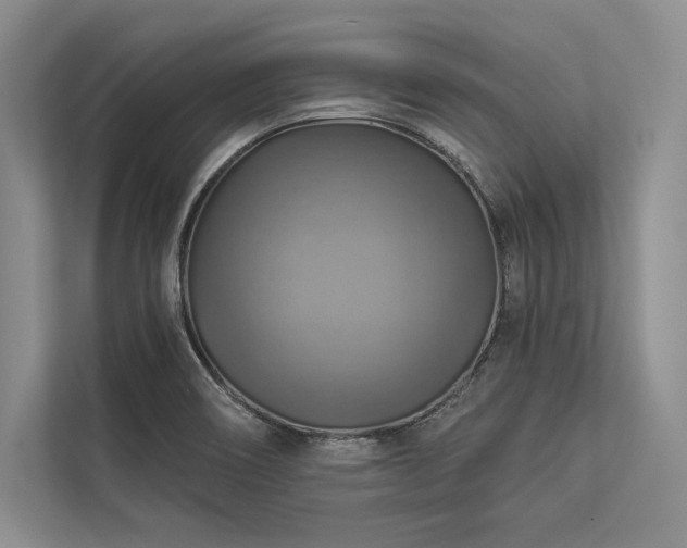 X0000113341466200909221113