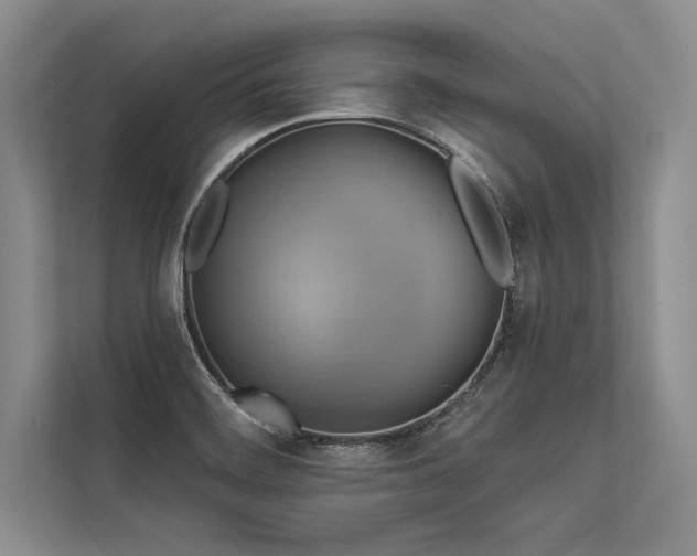 X0000113341468200909221113