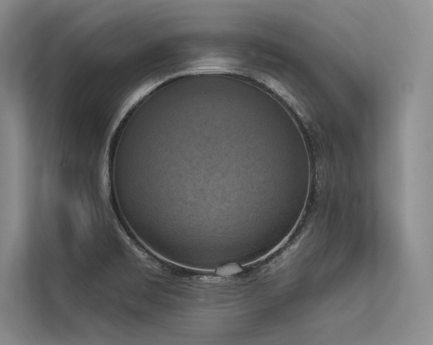 X0000113341469200909221113