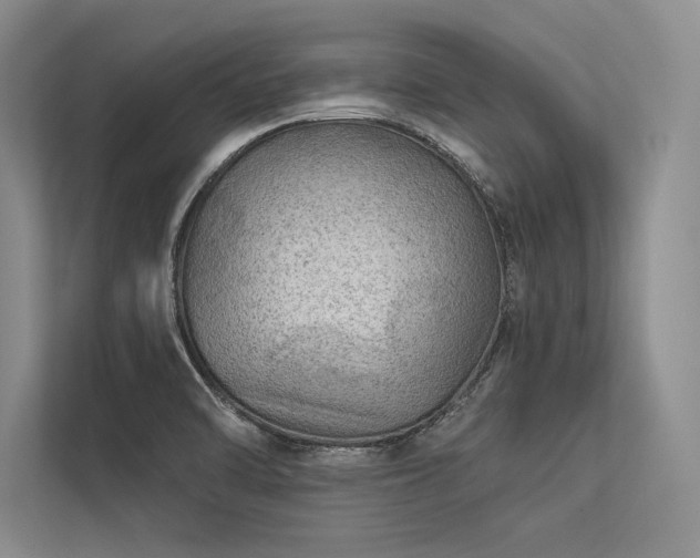 X0000113341470200909221113