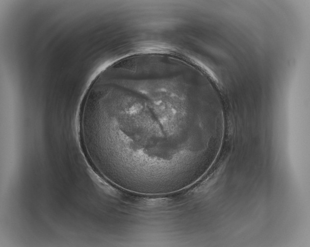 X0000113341471200909221113