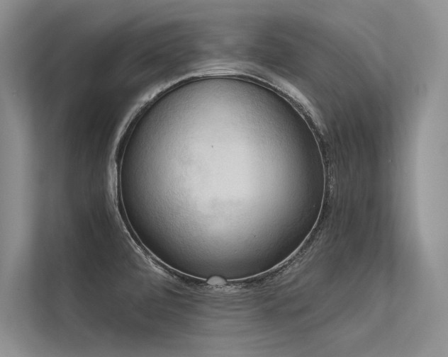 X0000113341472200909221113