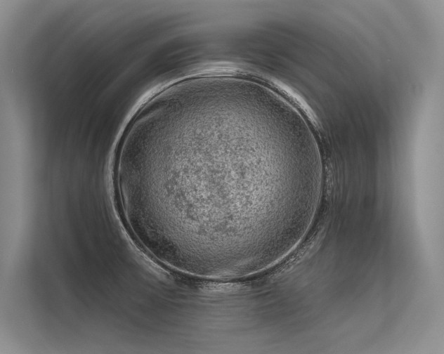 X0000113341475200909221113