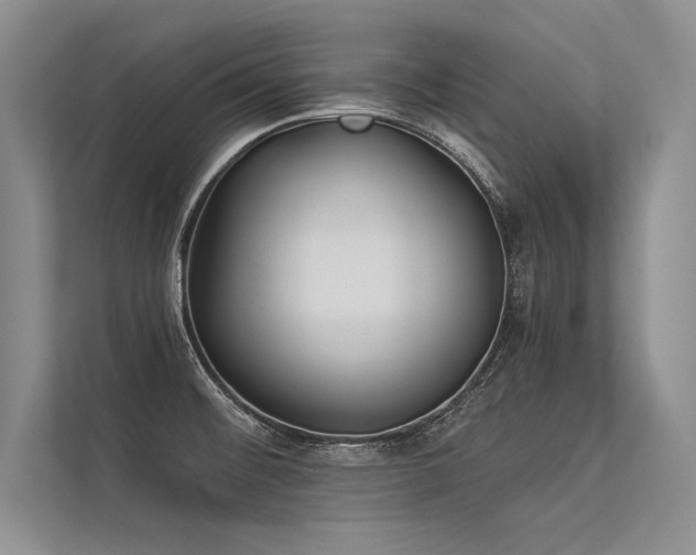 X0000113341476200909221113