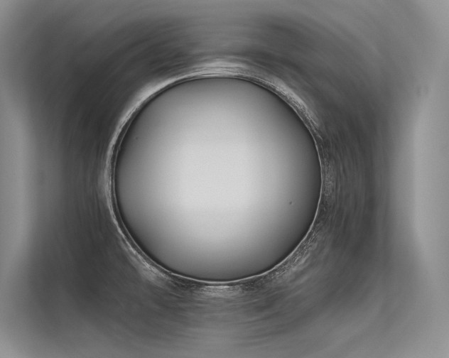 X0000113341478200909221113