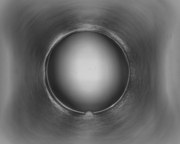 X0000113341479200909221113