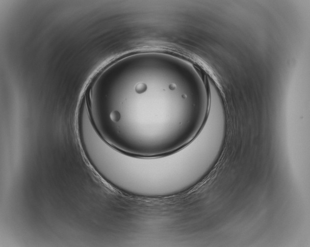 X0000113341480200909221113