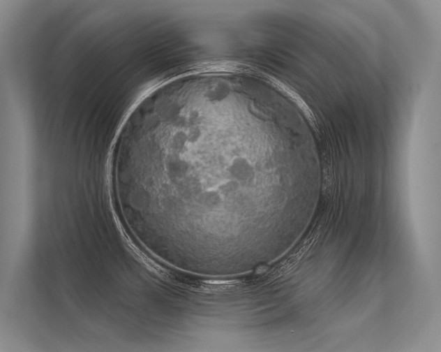 X0000113341483200909221113