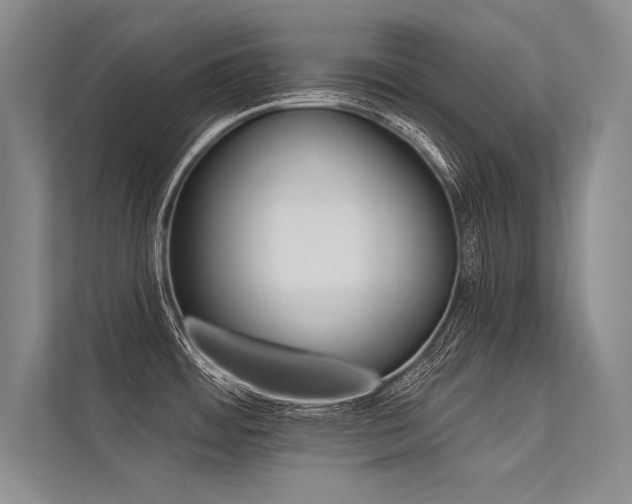 X0000113341484200909221113