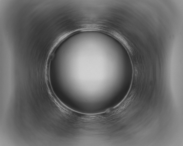 X0000113341485200909221113