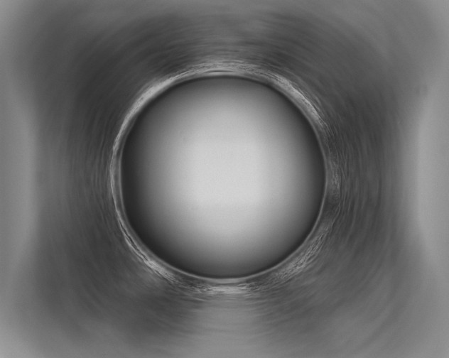 X0000113341486200909221113