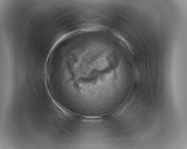 X0000113341487200909221113