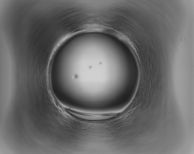 X0000113341488200909221113