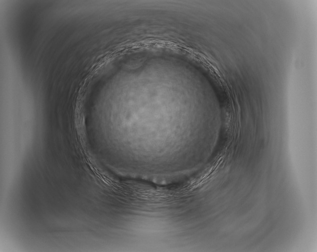 X0000113341489200909221113