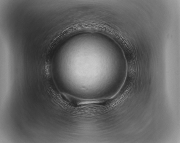 X0000113341490200909221113