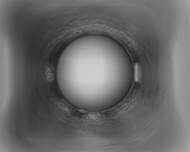 X0000113341491200909221113