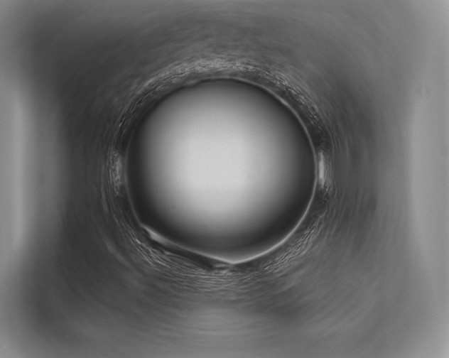 X0000113341492200909221113