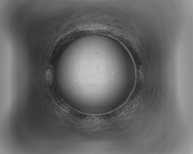 X0000113341493200909221113