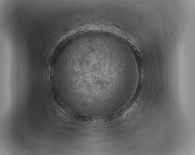 X0000113341494200909221113