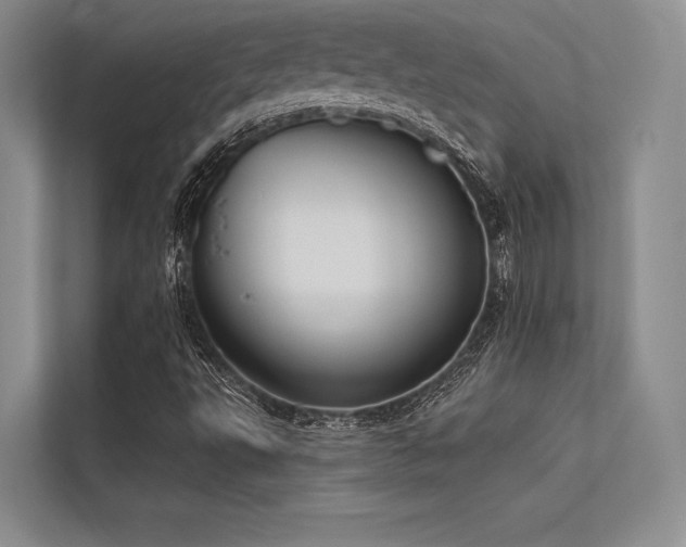 X0000113341495200909221113