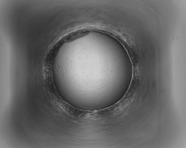 X0000113341496200909221113