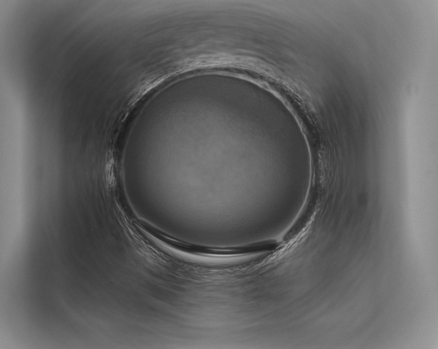 X0000113341497200909221113